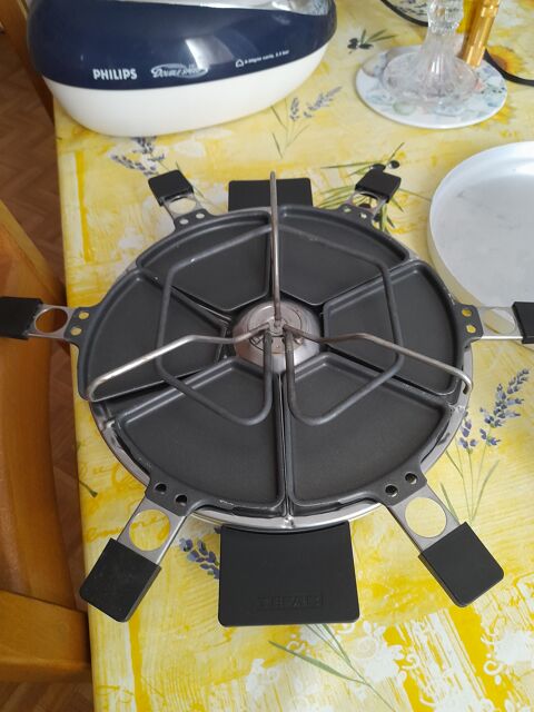 Service a raclette 10 Lézignan-Corbières (11)