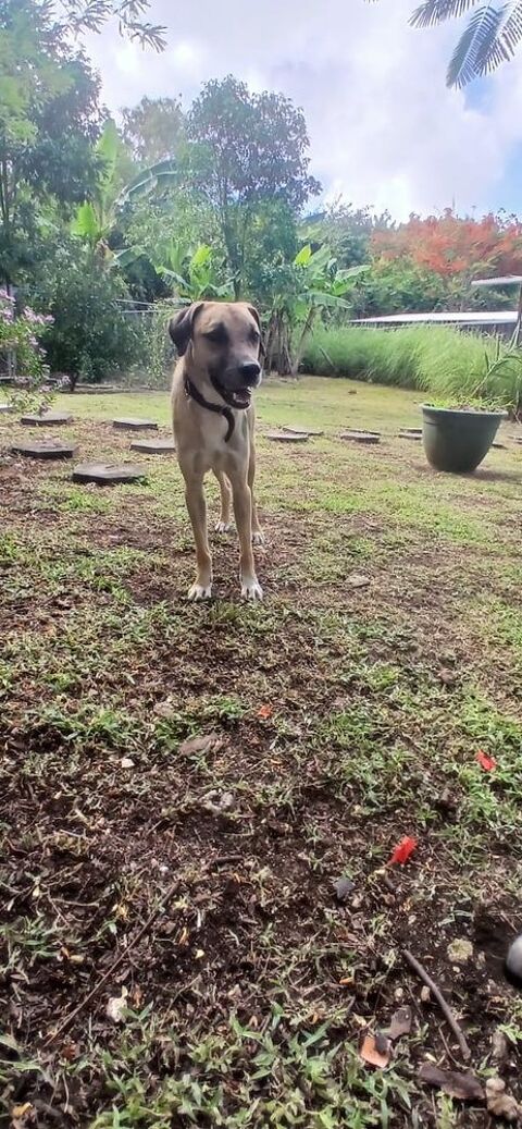 GAREL en refuge guadeloupe 0 75018 Paris