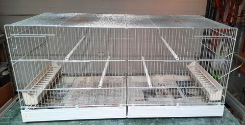 Cage pour oiseaux 65 59150 Wattrelos