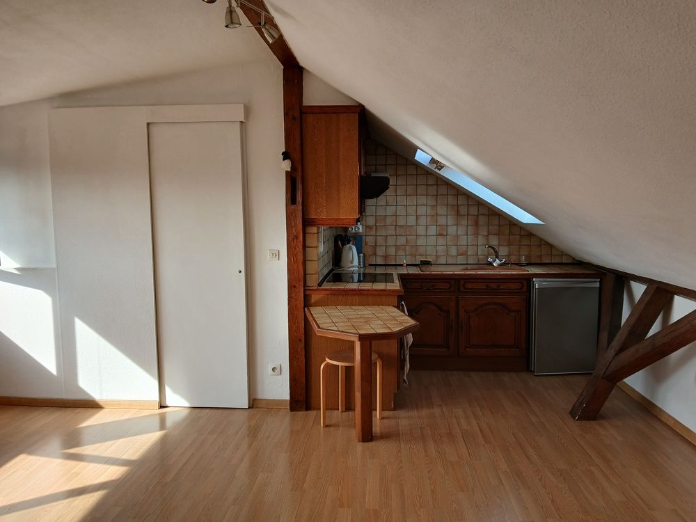 Vente Appartement Particulier un charmant et grand studio Strasbourg