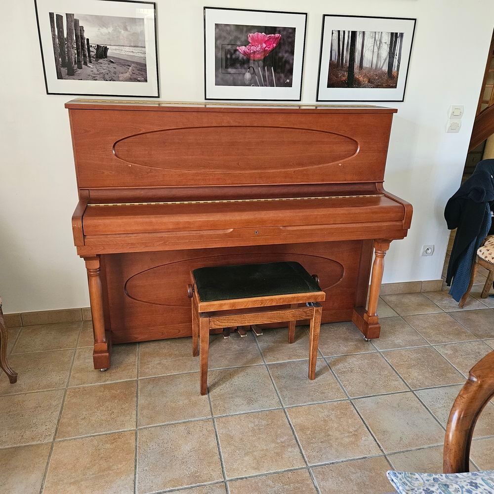 PIANO Instruments de musique