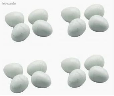 oufs factices
3 40000 Mont-de-marsan