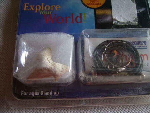 Collier avec dent de requin fossile 15 Wolxheim (67)