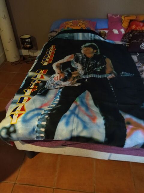 Affiches Johnny Hallyday  8 Coutras (33)