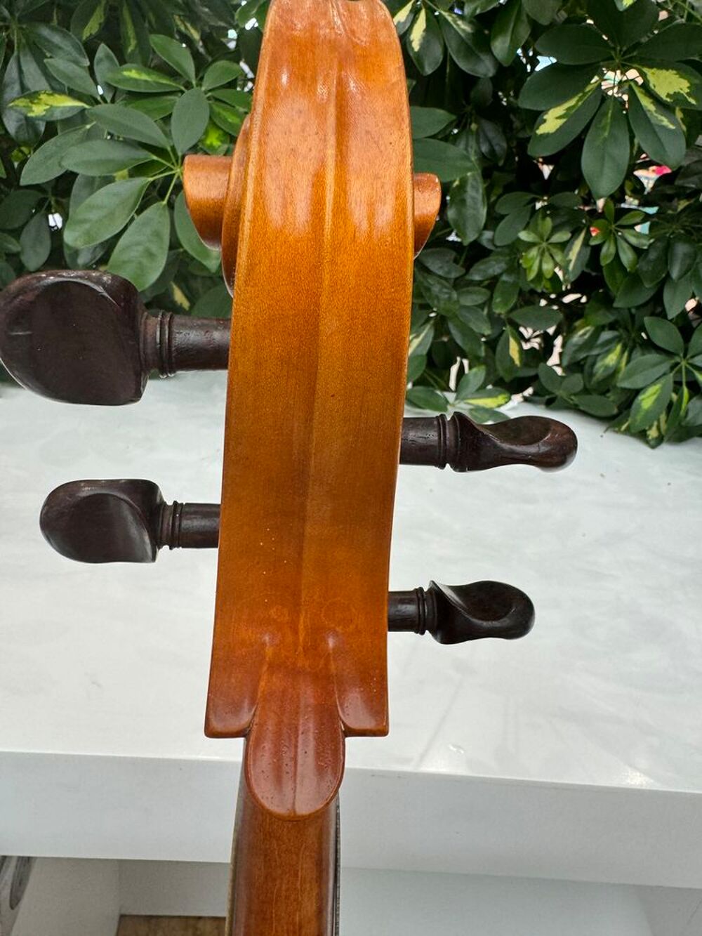 Achat violon, Violoncelle, m&ecirc;me en mauvais &eacute;tat Instruments de musique
