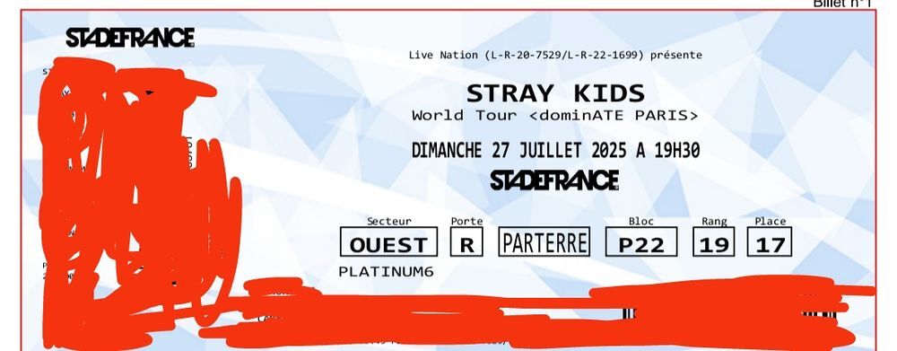 2 billets pour stray kids, 27/07 CD et vinyles