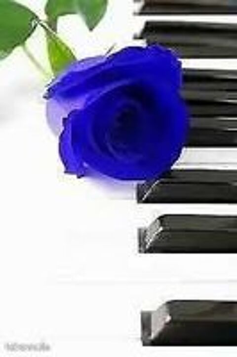   Cours de PIANO 