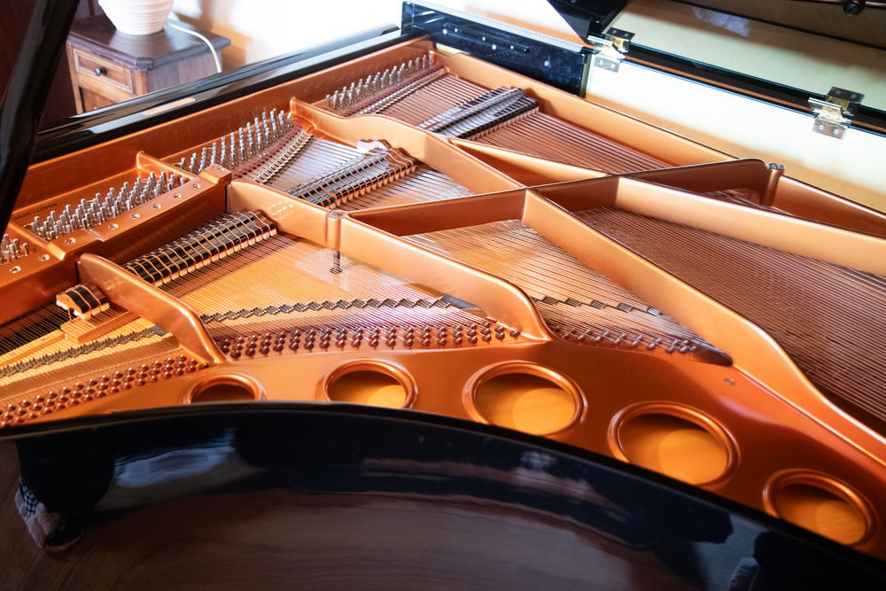 B&ouml;sendorfer Instruments de musique