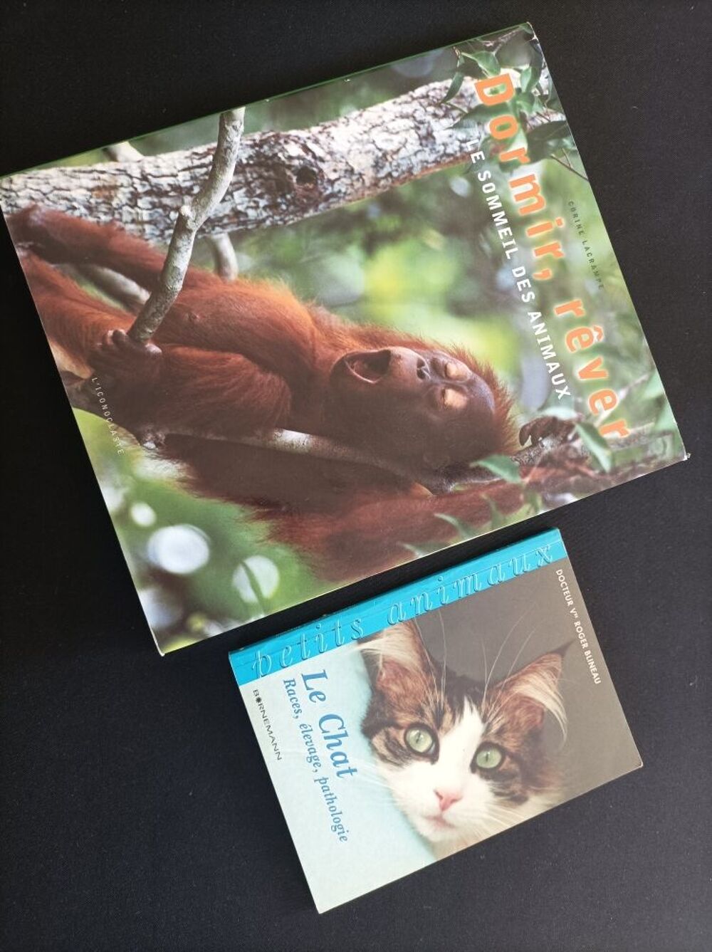 Lot livres animaux : Le chat + dormir, r&ecirc;ver le sommeil des Livres et BD
