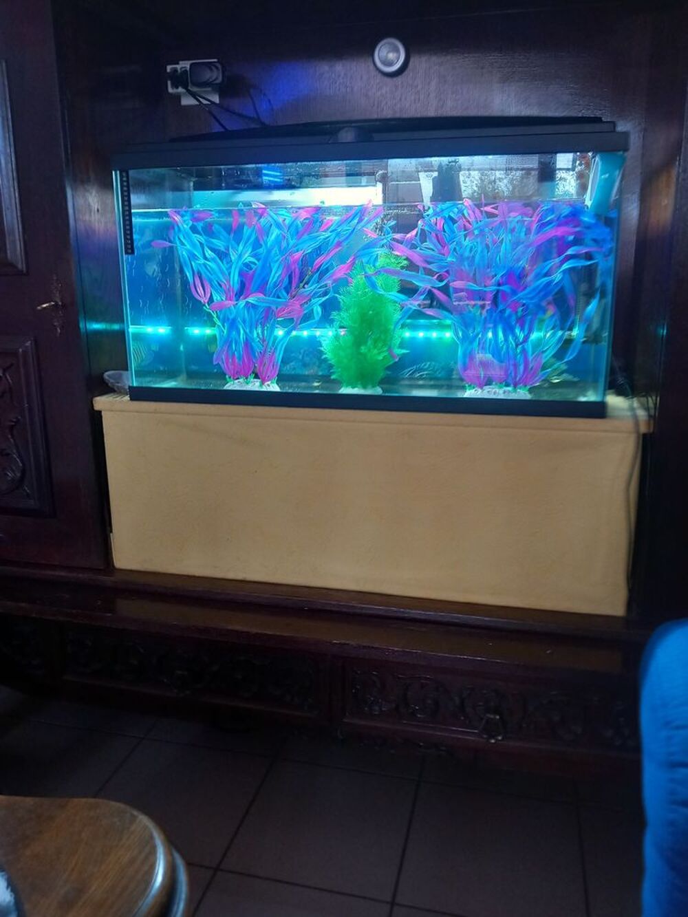 A saisir aquarium super family 120 litres complet Décoration