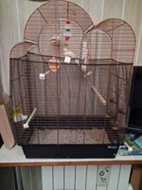   grande cage oiseaux neuf servi 3 mois 