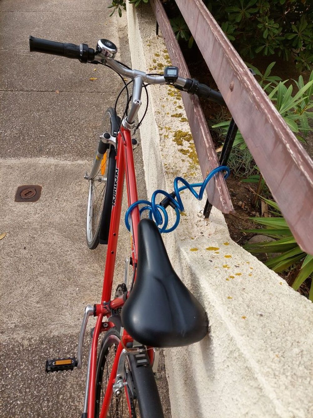 velo homme Vélos