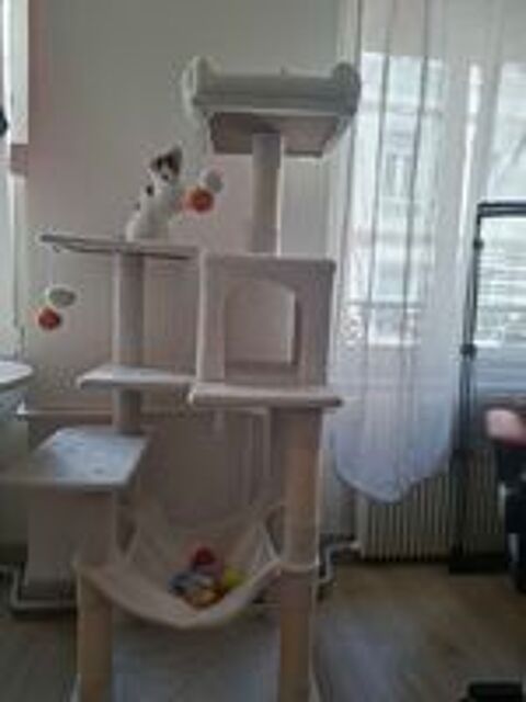   Arbre crois norvgien  