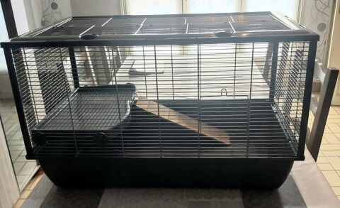 Cage pour petit rongeur 35 62400 Béthune