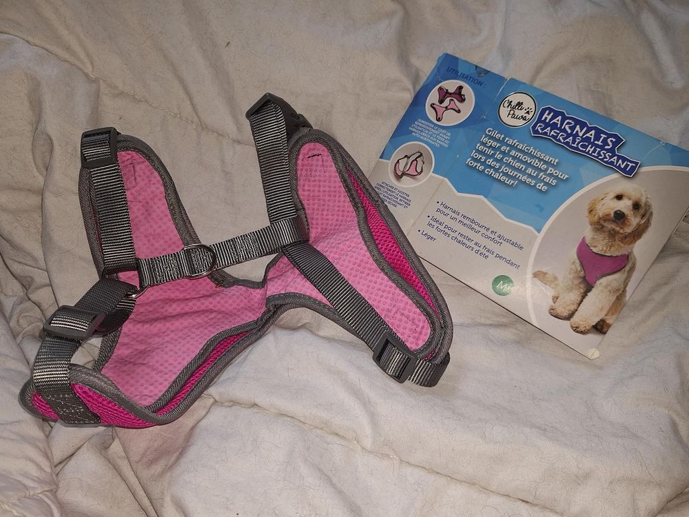 Harnais rafraichissant pour chien T.M Maroquinerie