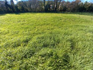  Terrain  vendre 500 m