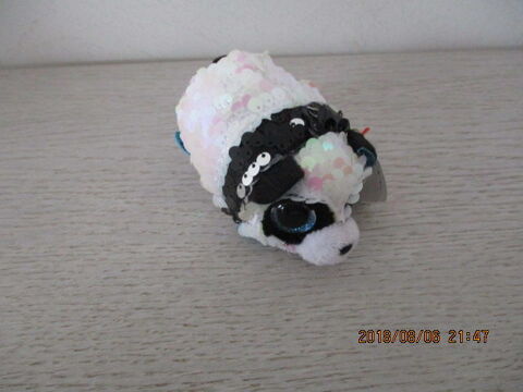 Souris 10 Castres (81)