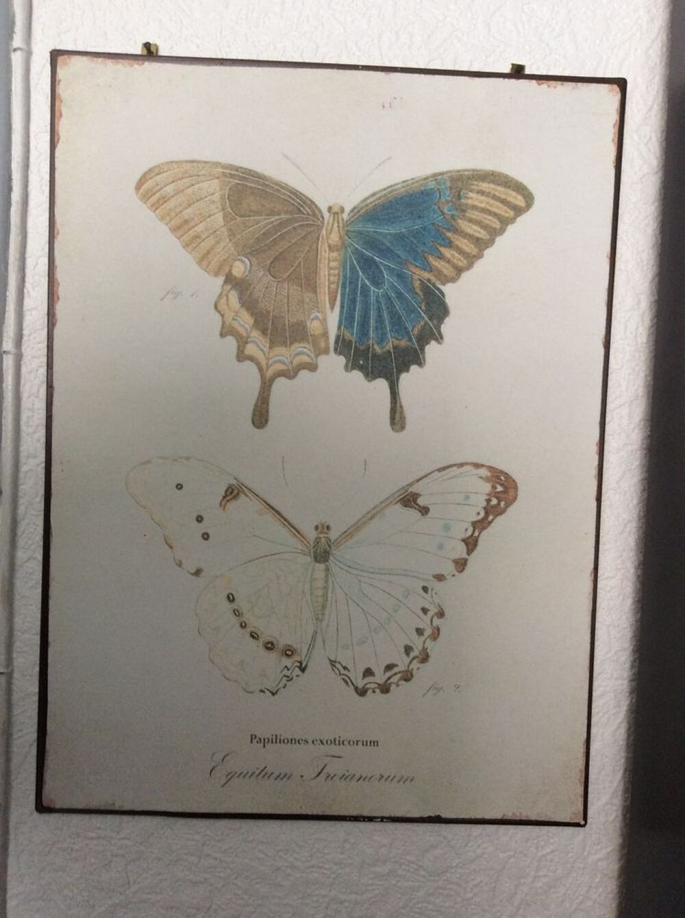 Tableau Décoration