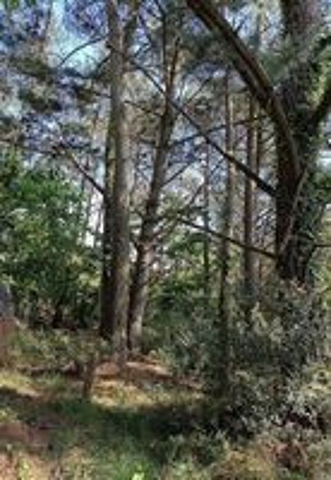   association cherche aide entretien foret 