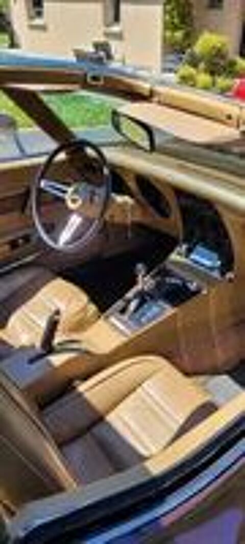 Corvette Coup&eacute; 1974 occasion 85110 Chantonnay