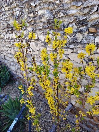  Maison � vendre 4 pi�ces 92 m�