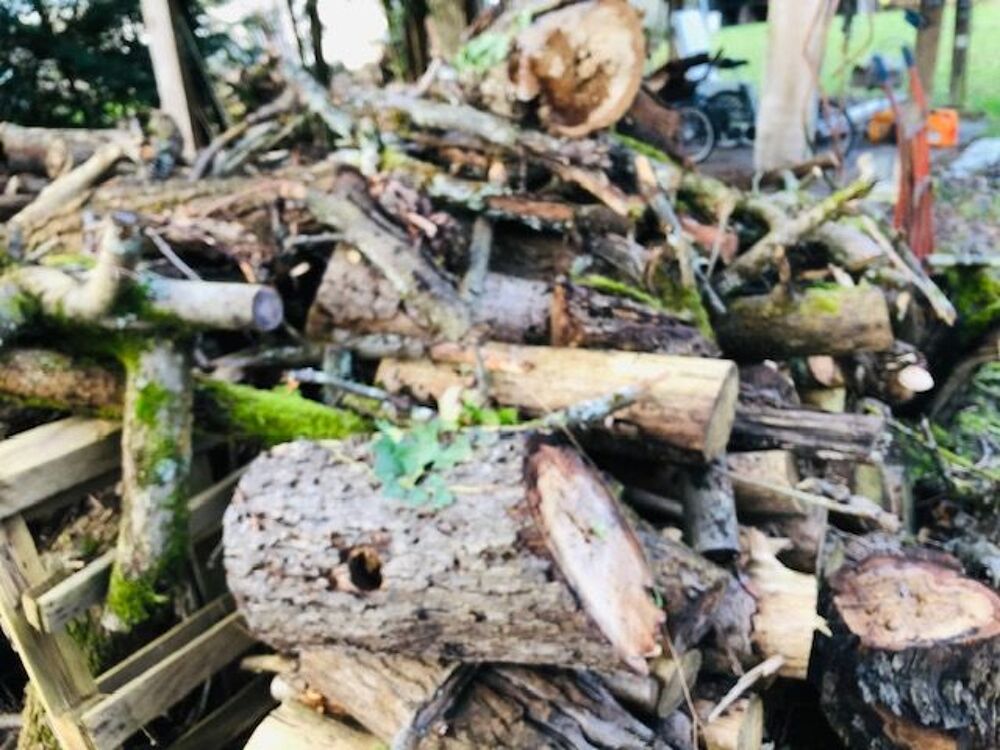 BOIS DE CHAUFFAGE Jardin