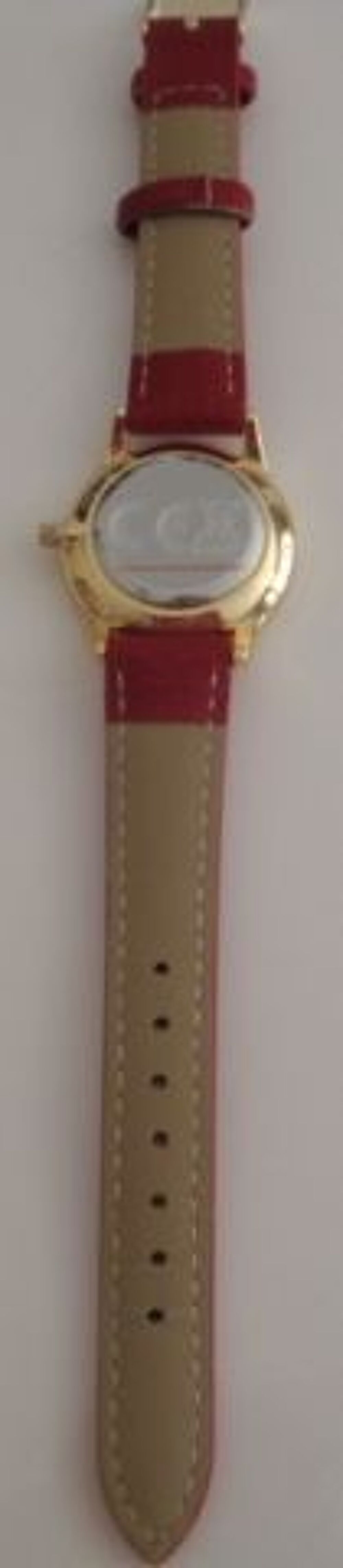 MONTRE PIERRE CARDIN Bijoux et montres
