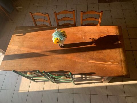 table en chaîne massif Marigny-Brizay (86)
