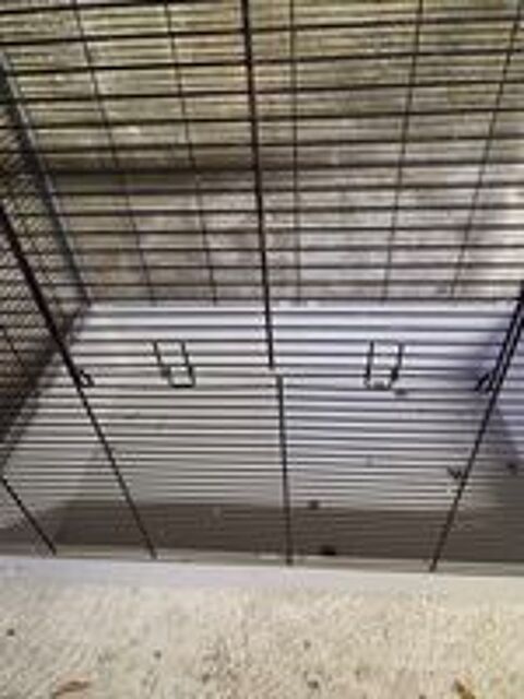   Cage a oiseaux  