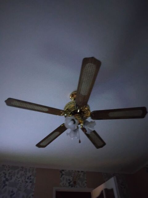 Ventilateur lustre de plafond 5 palmes 30 Wingles (62)