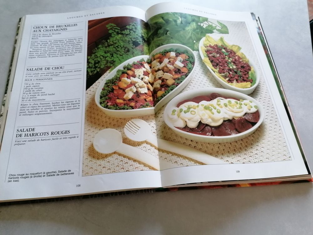 Livre recettes Cuisine en f&ecirc;te Livres et BD