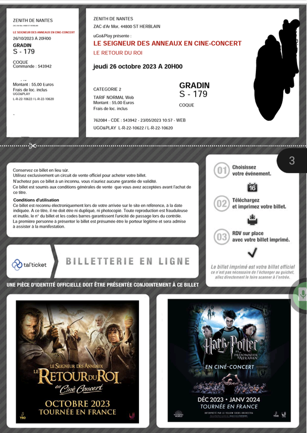 Cin&eacute; concert Retour du Roi Nantes Billetterie