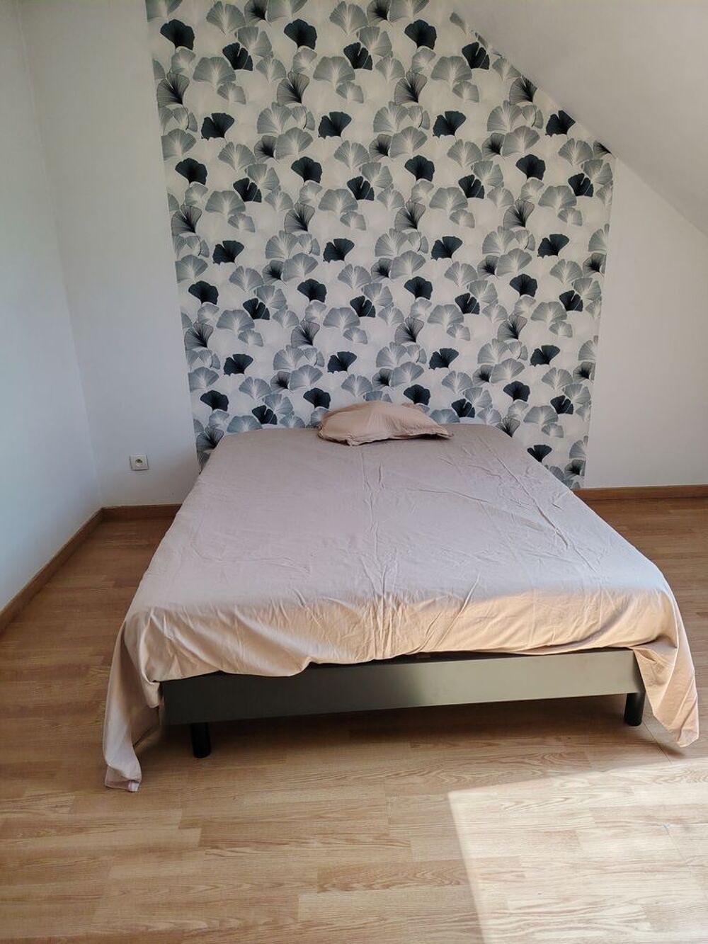 Location Maison Colocation à 4 chambres Lorient