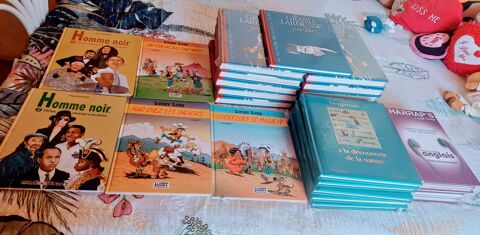 Livre  800 Ducos (97)