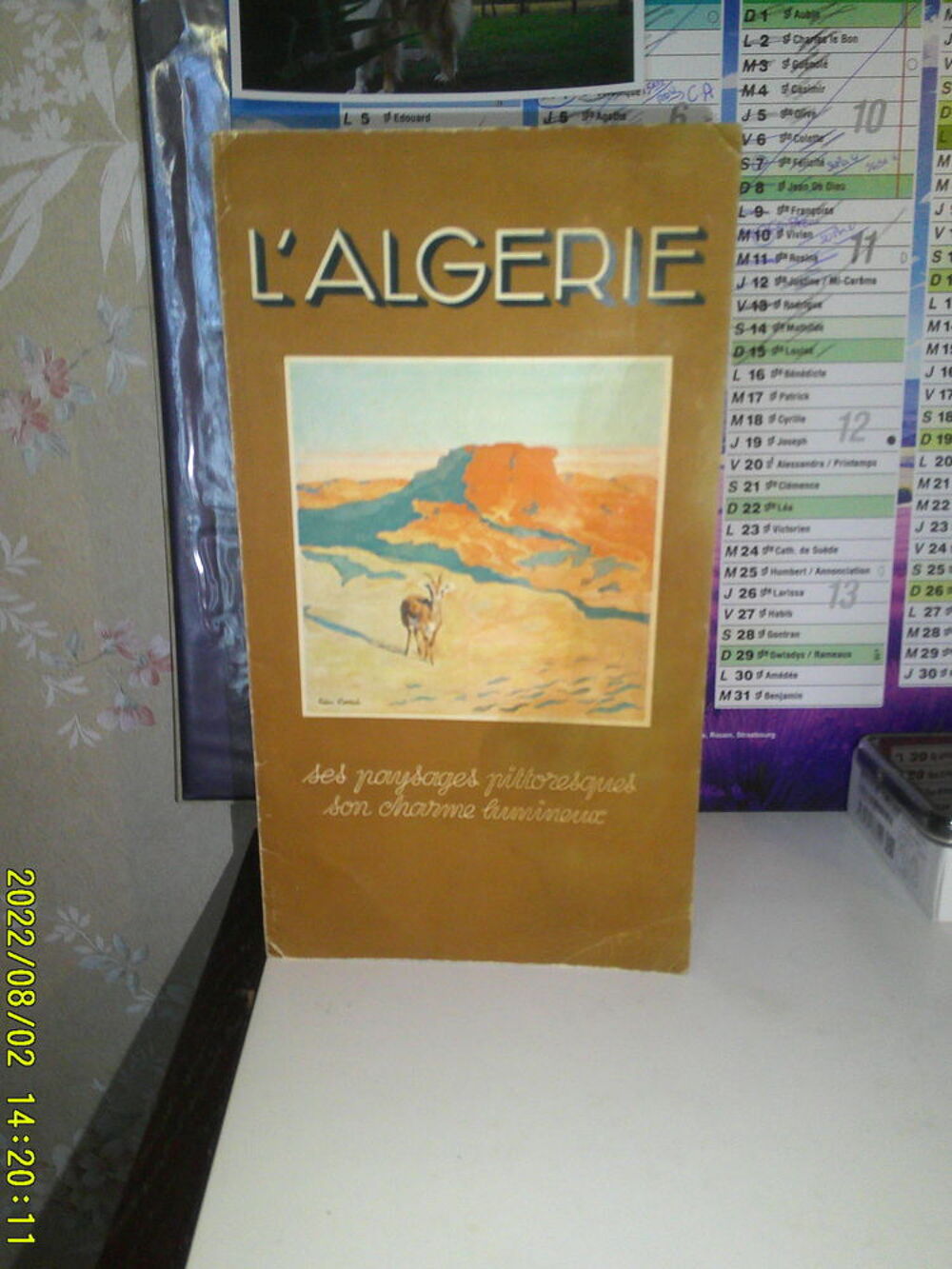 UN LOT - MILITARIA ..( ancien ) 