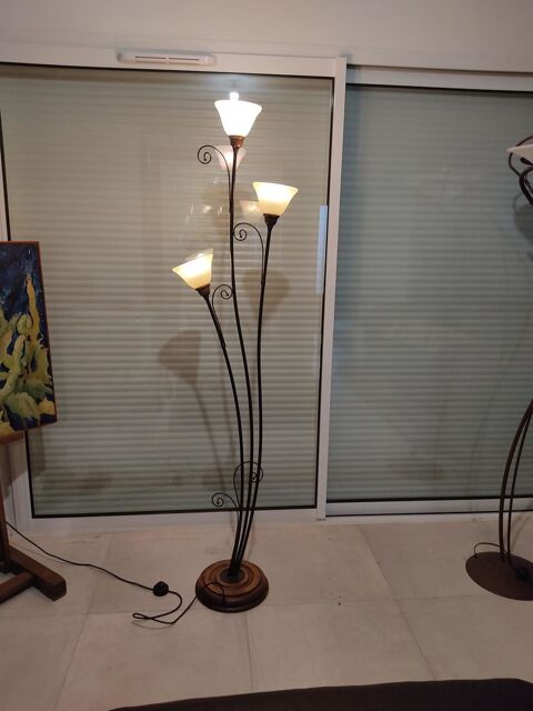 Lampes lampadaire tulipes sur pieds 65 Soullans (85)