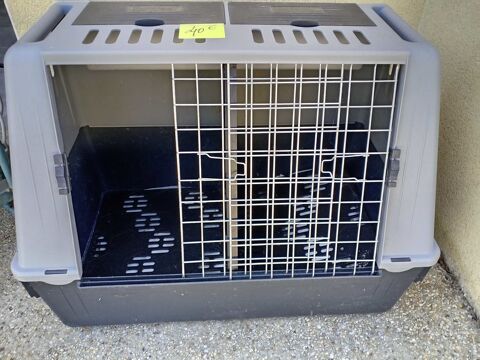 Caisse de transport Chien/Chat Bretignolles-sur-Mer (85)