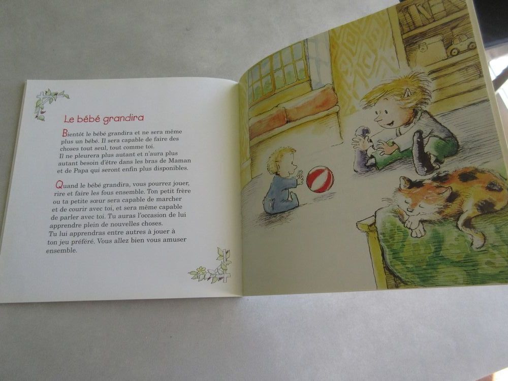 Livre enfant Chouette la famille s'agrandit Livres et BD