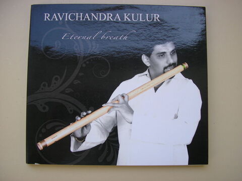 Ravichandra Kulur 5 Nmes (30)