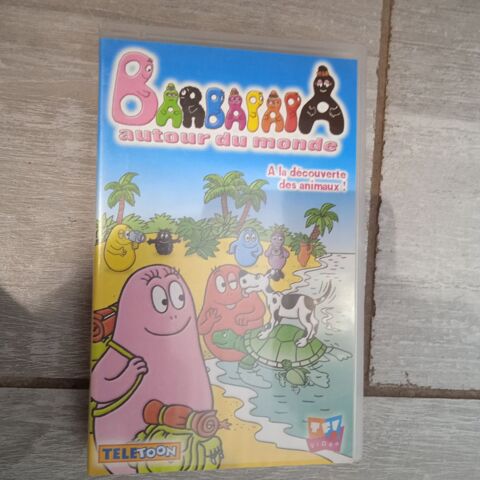Cassettes VHS Barbapapa lot de 2 5 Le Péage-de-Roussillon (38)
