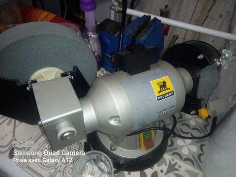 Meuleuse lectrique PEUGEOT 100 Brignogan-Plage (29)