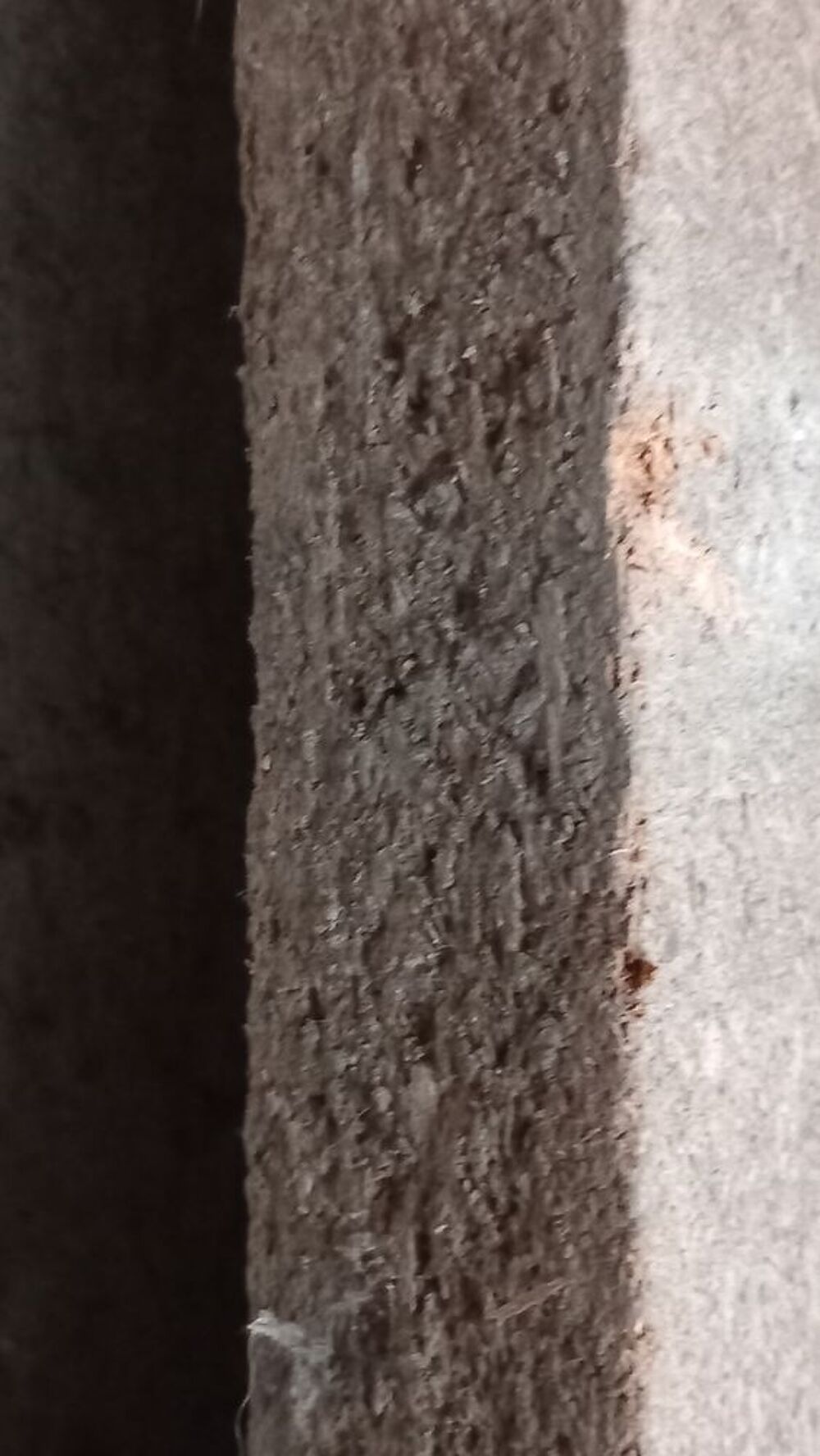 panneau agglom&eacute;r&eacute; 410x186 cm &eacute;paisseur 27 mm Bricolage