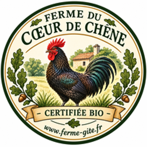   Très beau canard Barbarie noir sauvage de 6 mois 
