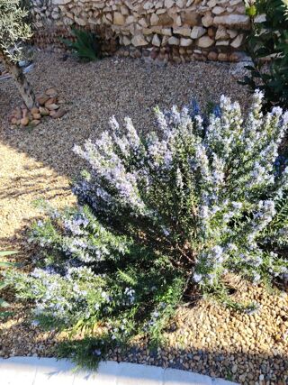  Maison � vendre 4 pi�ces 92 m�