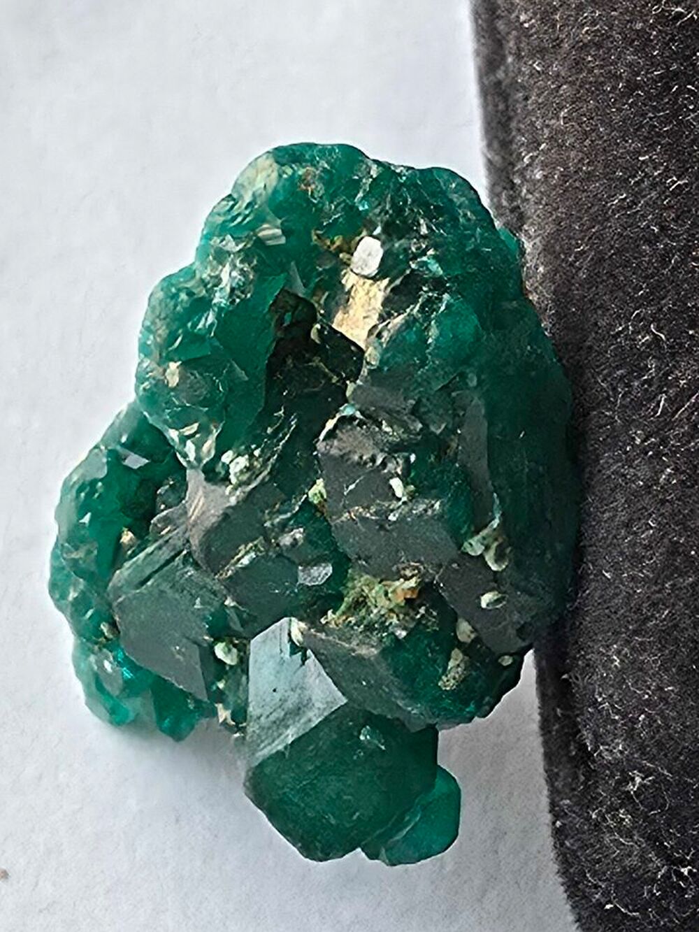 Dioptase sur Matrice-Katanga, RDC (5g) 