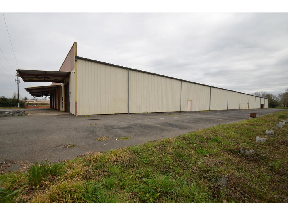 Vente Plateau BÃ¢timent F15 Moulin-neuf