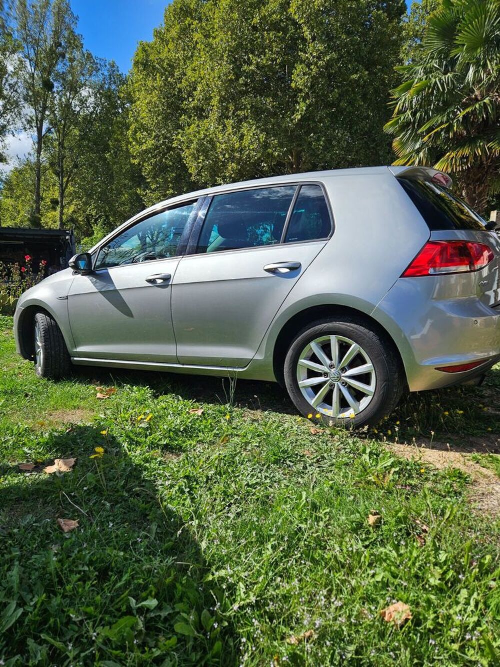 Golf 1.6 TDI 105 BlueMotion Technology FAP Lounge DSG7 2015 occasion 72230 Mulsanne