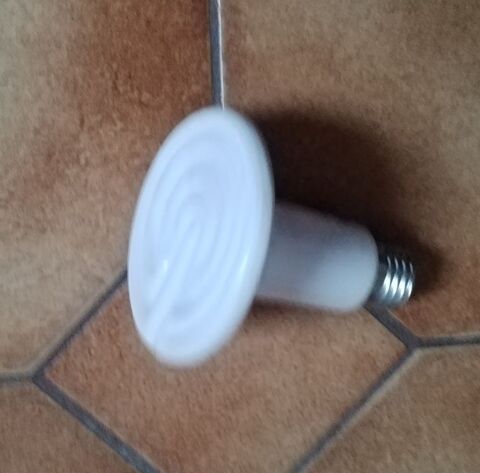 FLEXARIUM avec AMPOULE CHAUFFANTE CERAMIQUE 10 78200 Mantes-la-jolie