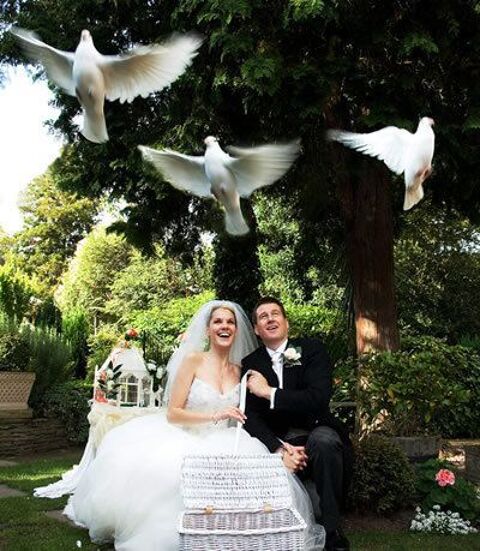 Lacher de pigeons blanc colombe mariage  150 Montfermeil (93)