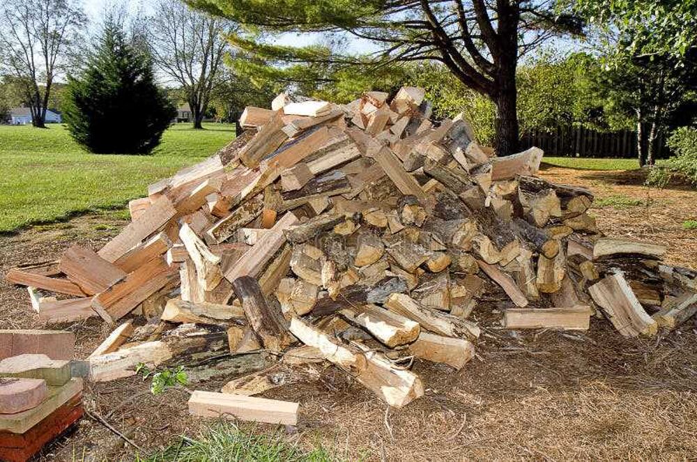Jardinier propose fentes de vos bois de chauffage Jardin